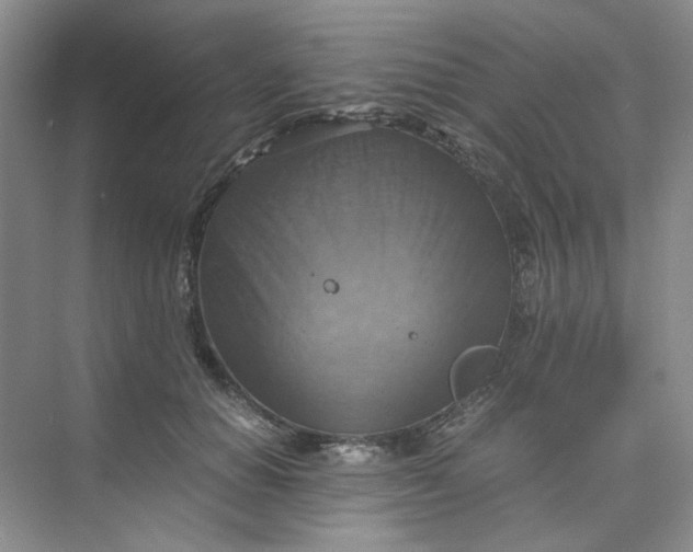 X0000075890654200609291707