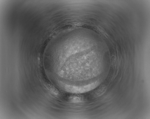 X0000075890655200609291707