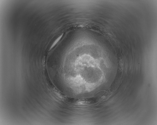 X0000075890657200609291707