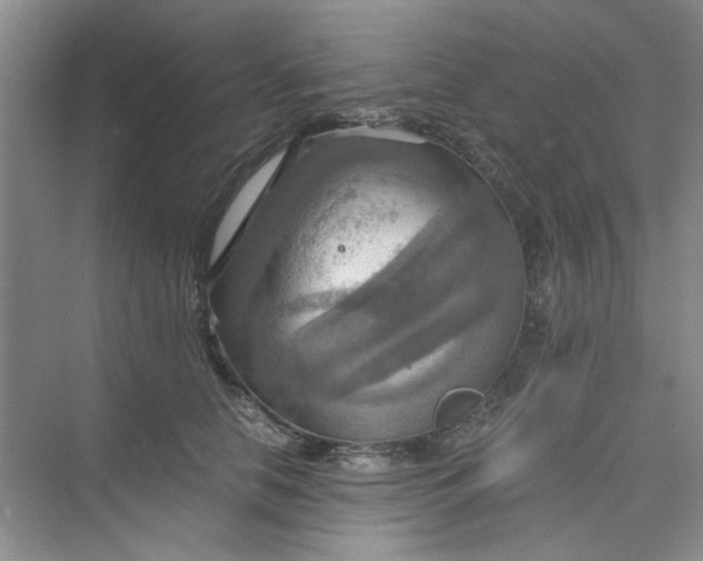 X0000075890658200609291707