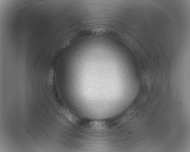 X0000075890660200609291707