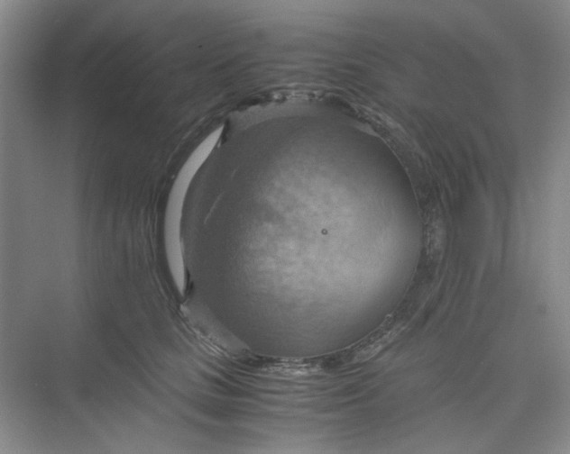 X0000075890661200609291707