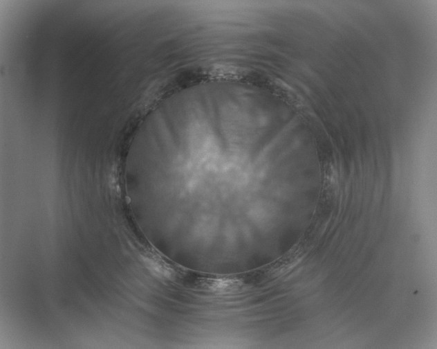 X0000075890663200609291707