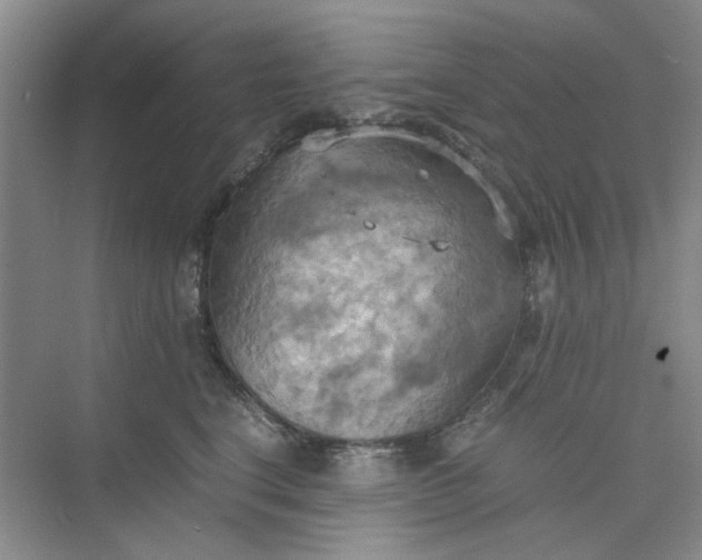 X0000075890664200609291707