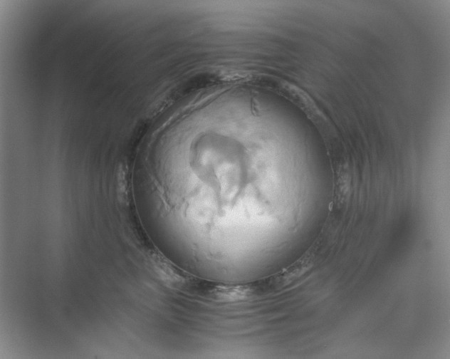 X0000075890667200609291707