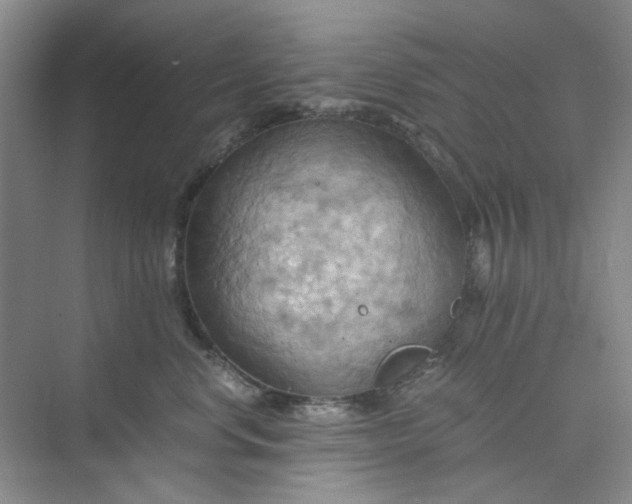 X0000075890668200609291707