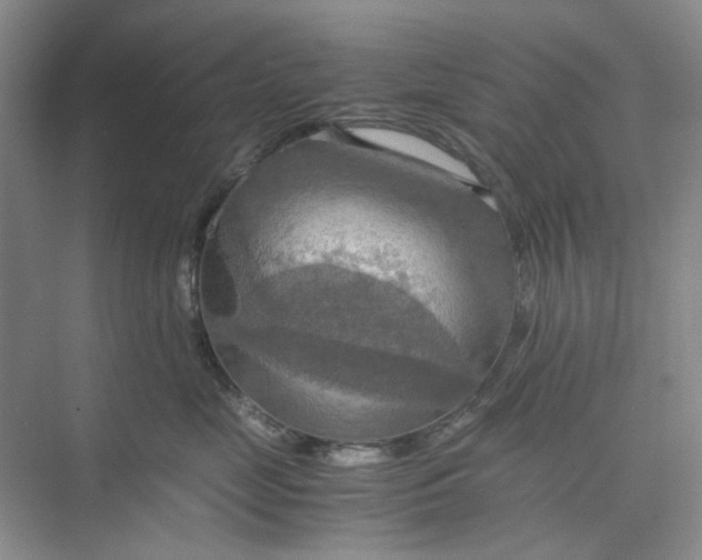 X0000075890669200609291707