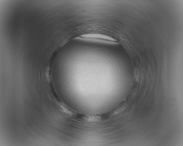 X0000075890670200609291707