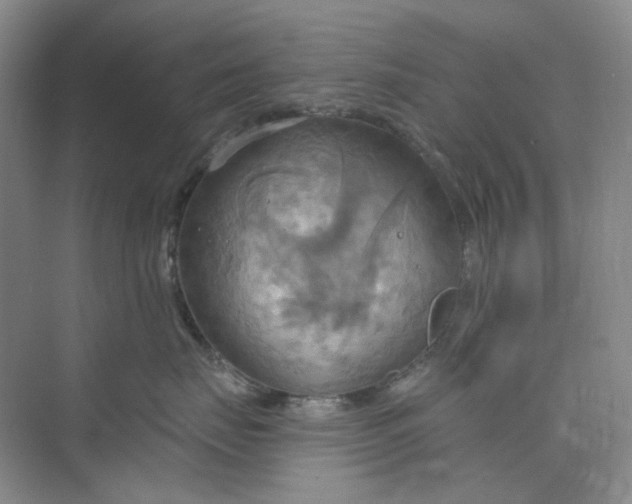 X0000075890671200609291707