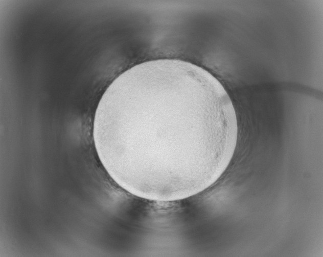 X0000075890672200609291707