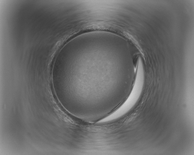 X0000075890673200609291706