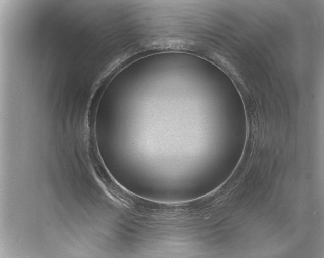 X0000075890674200609291706