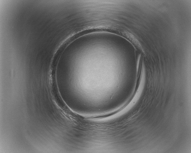 X0000075890676200609291706