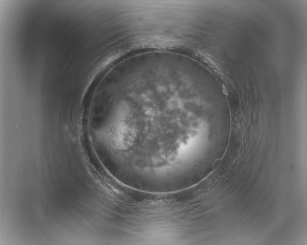 X0000075890679200609291706