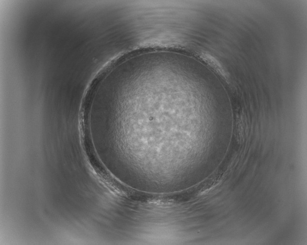 X0000075890680200609291706