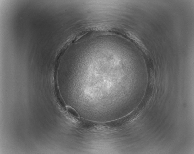 X0000075890681200609291706