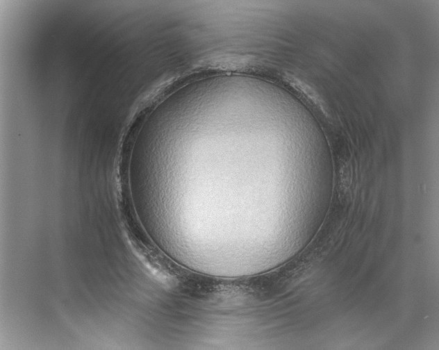 X0000075890682200609291706