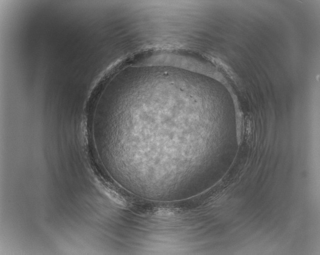 X0000075890684200609291706