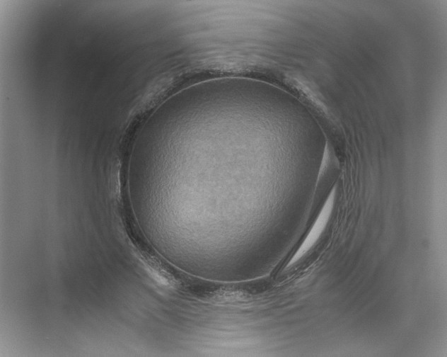 X0000075890685200609291706