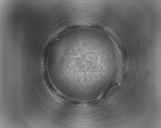 X0000075890688200609291706