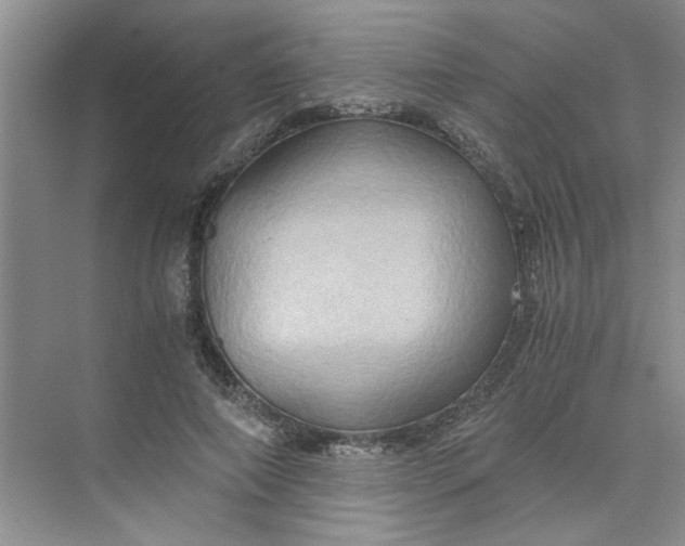 X0000075890690200609291706