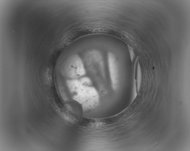 X0000075890695200609291706