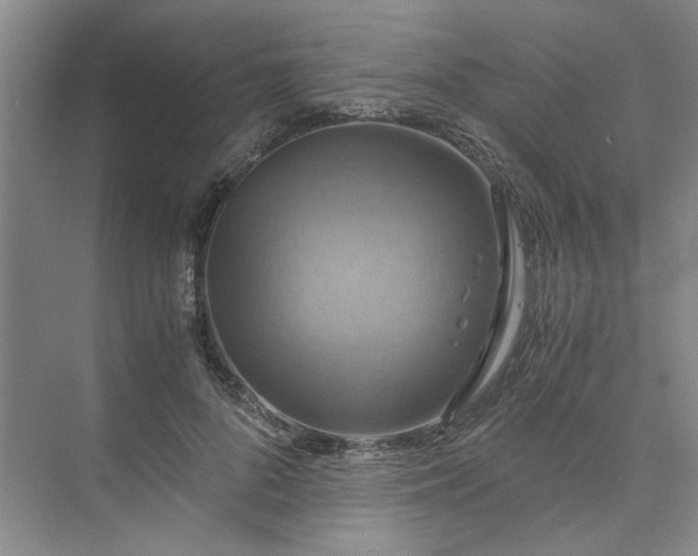 X0000075890696200609291706