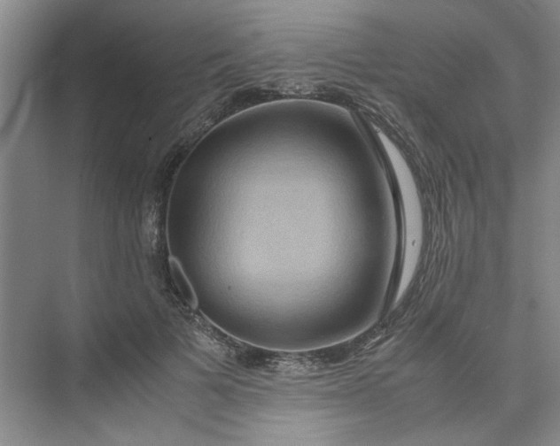 X0000075890697200609291706