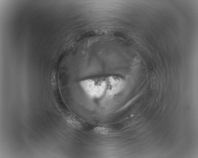 X0000075890699200609291706