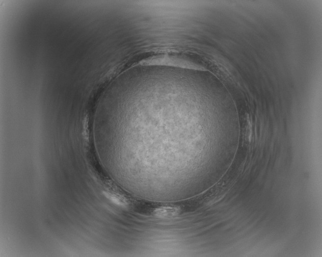 X0000075890700200609291706