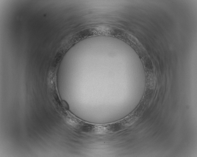 X0000075890701200609291706