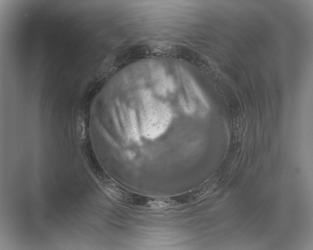 X0000075890703200609291706