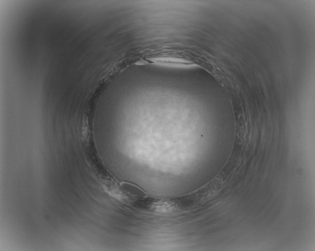 X0000075890704200609291706