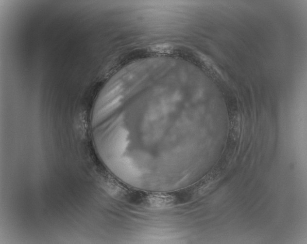 X0000075890707200609291706