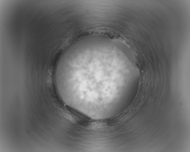 X0000075890708200609291706