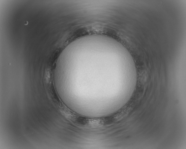 X0000075890709200609291706