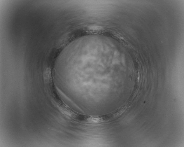 X0000075890711200609291706