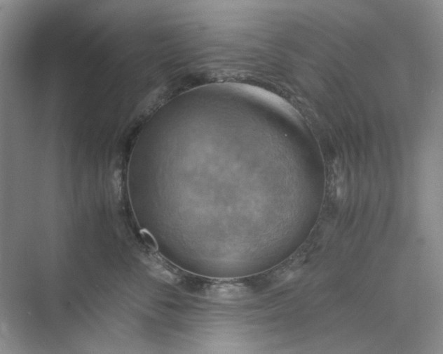 X0000075890716200609291706