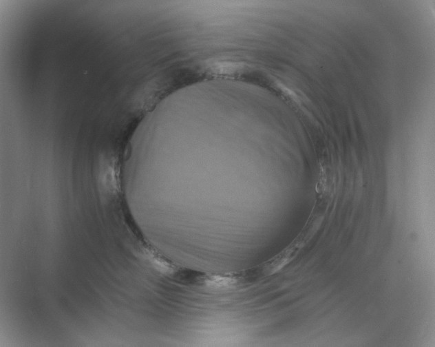 X0000075890718200609291706