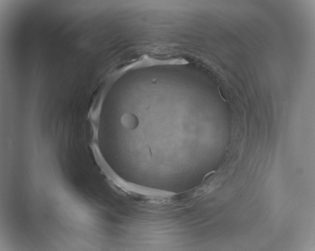 X0000075890720200609291706