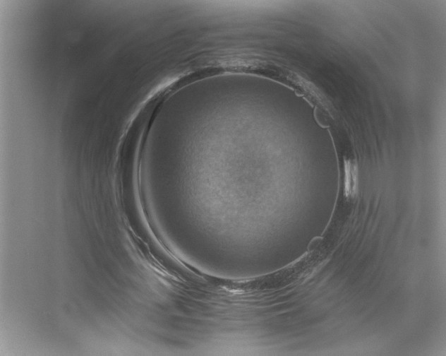 X0000075890723200609291705