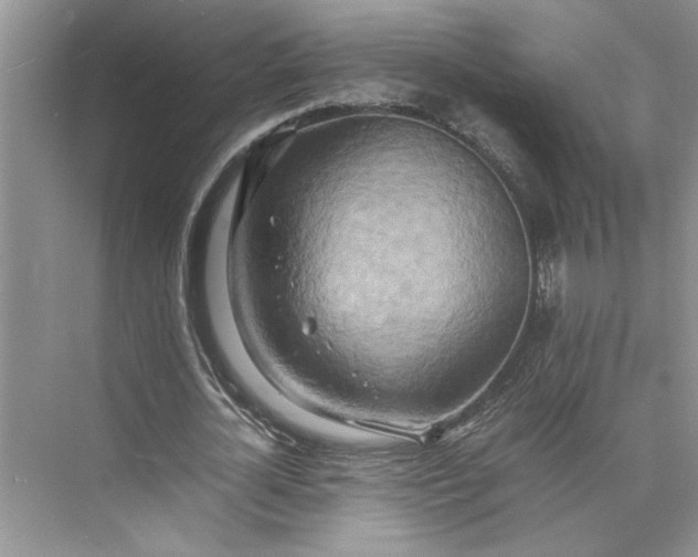 X0000075890724200609291705