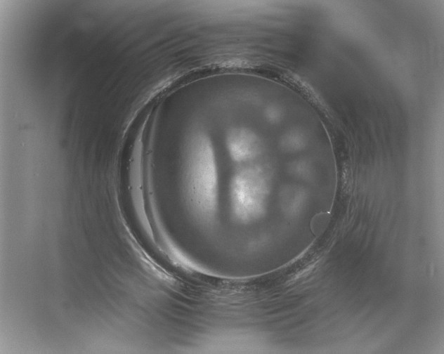 X0000075890725200609291705