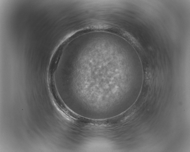 X0000075890726200609291705