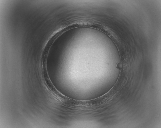 X0000075890727200609291705