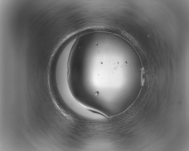 X0000075890728200609291705