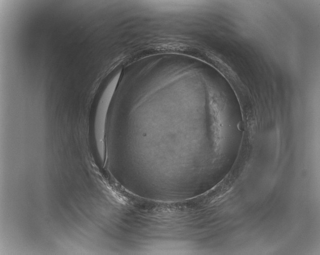 X0000075890729200609291705