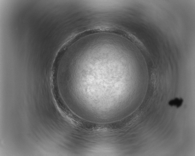 X0000075890730200609291705