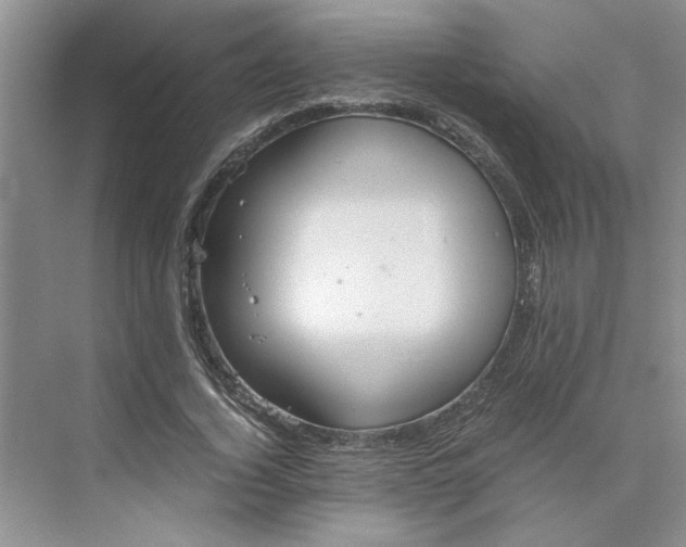 X0000075890732200609291705