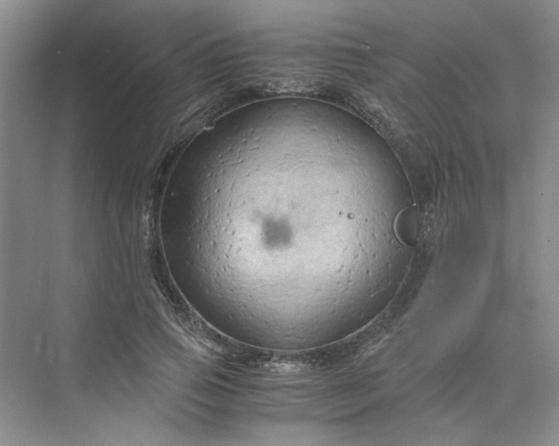 X0000075890741200609291705